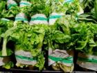 兰州市场上重现“一元菜” 蔬菜价格平稳回落的背后是？