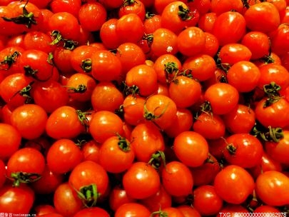 武汉市日均可采收上市蔬菜约7600余吨 比9月底日均增加800多吨