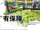 保障蔬菜供应、稳定菜价 哈尔滨市相关部门有哪些举措?