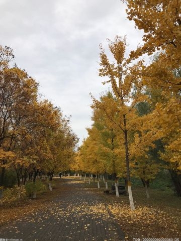 周边短途游升温 便携小巧的个人旅游用品迎来热卖