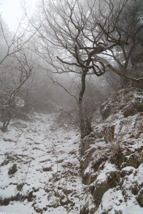 北京將迎來一輪明顯的降雪天氣 同時伴隨著“斷崖式”降溫