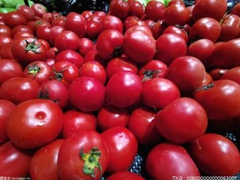 北京蔬菜价格持续高位运行 4月以后将进入回落区间