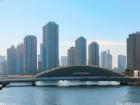 上海自贸区临港新片区计划规模以上工业总产值达3320亿元