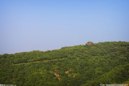 白雪：我真不认为坚持就一定有成果 我只是幸运地撞上了