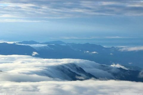 上海轮渡正式告别人工售票时代 实行无人售票