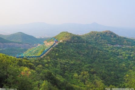 从“别样的风景”到“新盆景” 深圳美术馆举办生态雕塑作品展