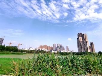 26.2℃！兰州最高气温创2013年以来历史最高纪录