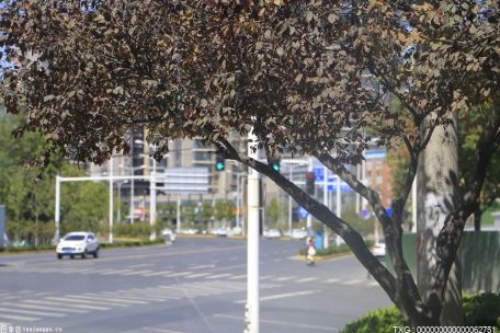 什么是卡漂 怎么卡漂 漂移产生的条件是什么？