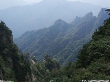龙门石窟有什么价值 龙门石窟有哪些意义 龙门石窟的建筑格局是什么？