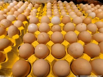 一个鸡蛋大概有多重 一个鸡蛋的重量是多少 鸡蛋相关的文化异俗是什么？