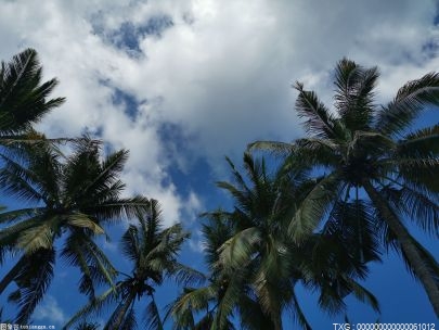 华人和华裔的区别是什么 海归留学生怎么才能更好地适应国内生活？